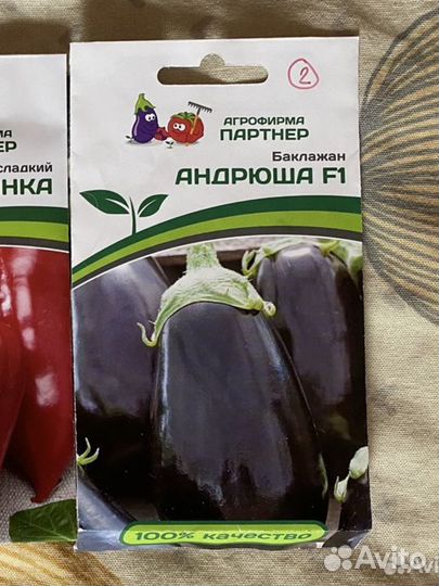 Рассада баклажана