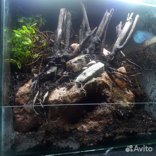 Террариум/флорариум под ключ