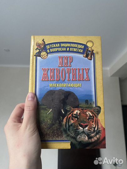 Энциклопедия