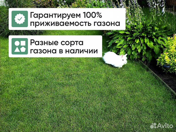 Рулонный газон / автополив