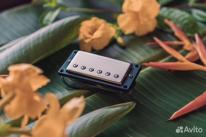 Seymour Duncan TB-14 Custom 5