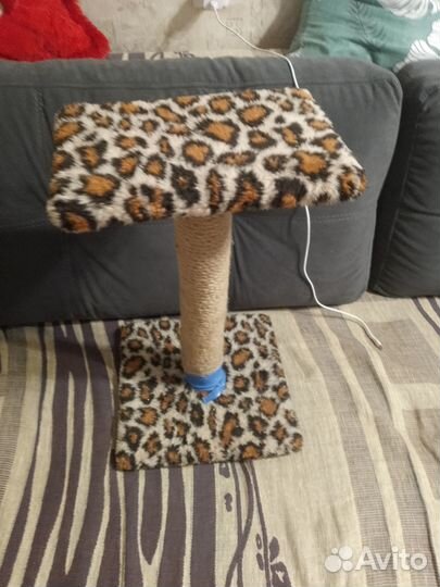 Продам когтеточку город Керчь