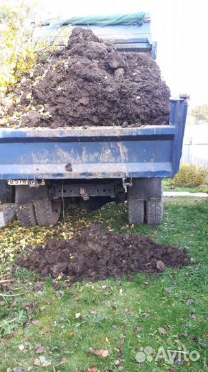 Навоз на огород коровий