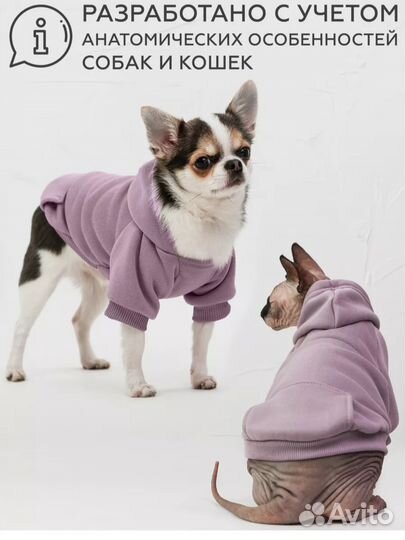 Одежда для собак