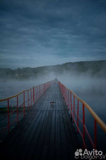 Nikon d3 Зеркальный фотоаппарат