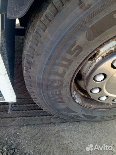 Renault Magnum, 2003