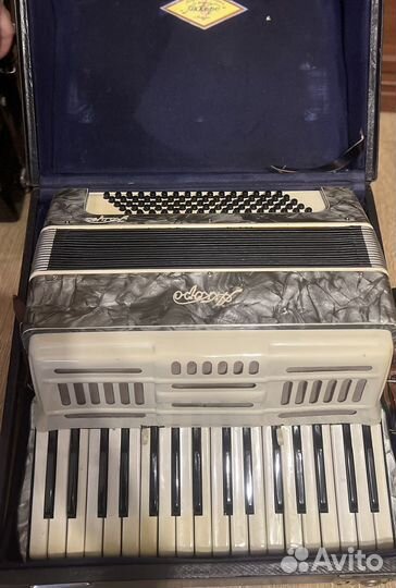 Аккордеон детский