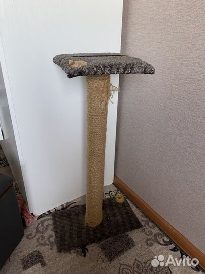 Когтеточка для кошек