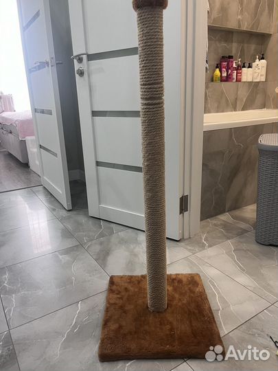 Когтеточка