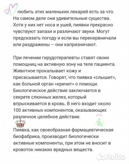 Пиявка