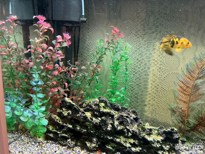 Грот в аквариум