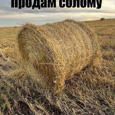 Солома овсянная в тюках