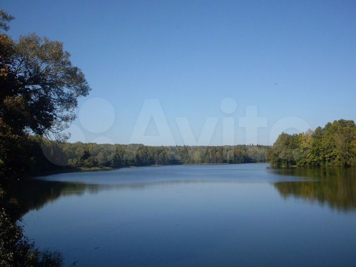 Участок 40 сот. (ИЖС)