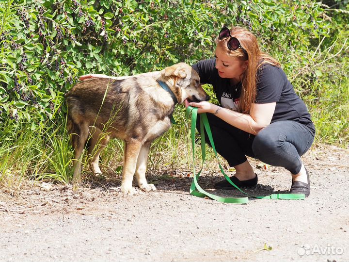 Щенок Марфуша