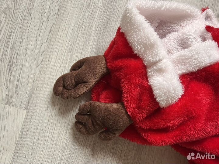 Костюм для собаки