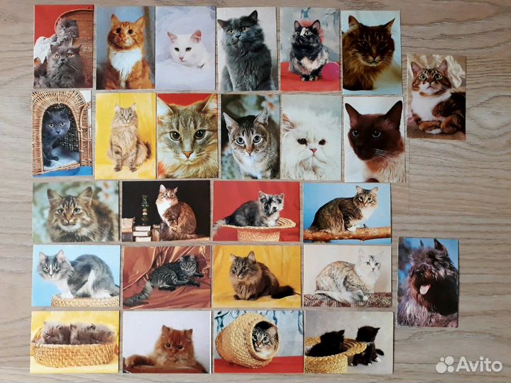 Календарики (Колпино)