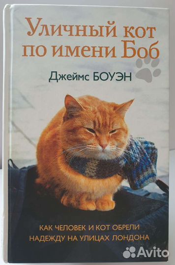 Уличный кот по имени Боб