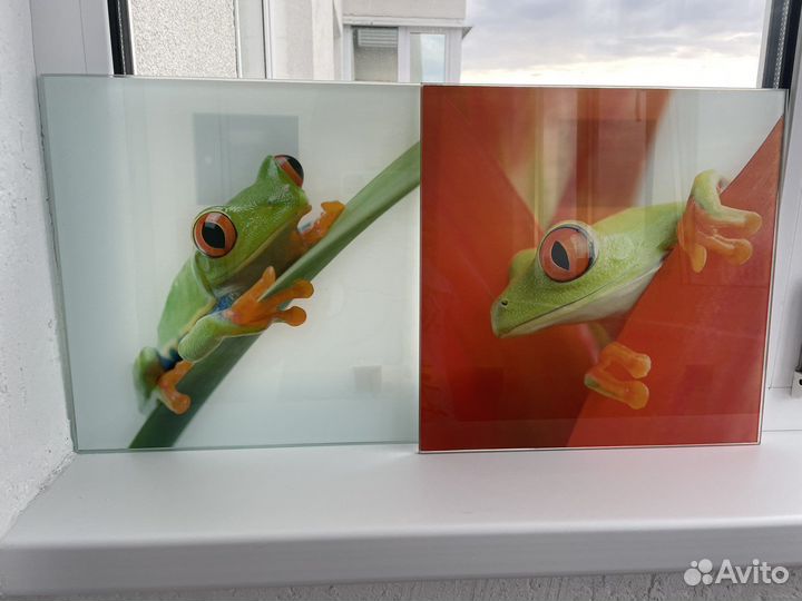 Картина лягушки стекло