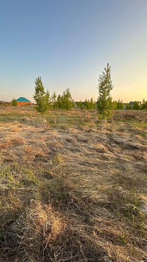 Участок 10 сот. (ИЖС)