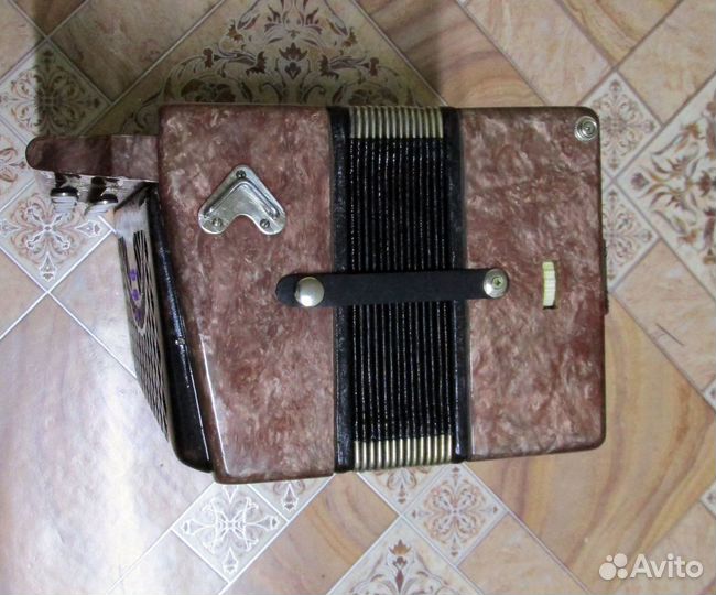 Шуйская Чайка 2