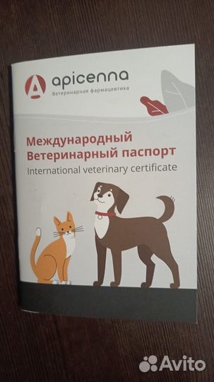 Продается щенок мопс