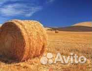 Солома в рулонах