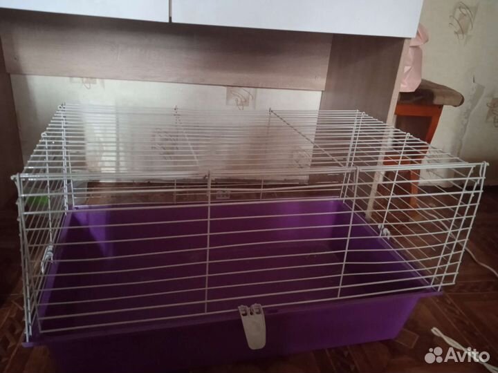 Клетка для декоративного кролика