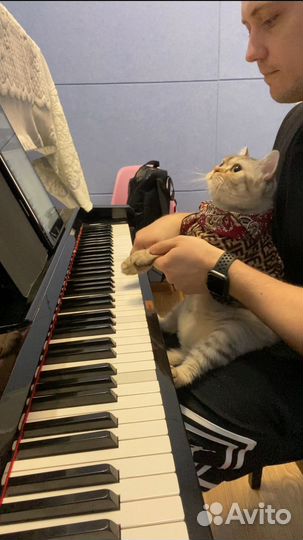 Уроки игры на фортепиано