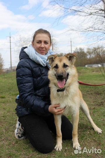 Собака в добрые руки, Винки