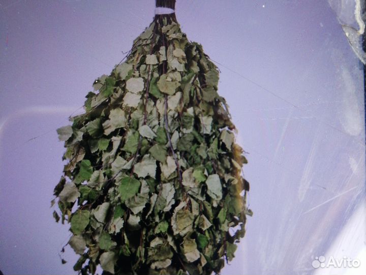 Веники для бани береза