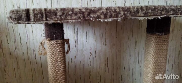 Когтеточка домик для кошки