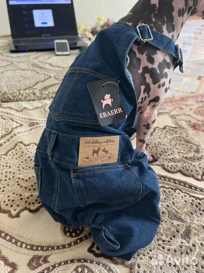 Одежда для животных, новый комбинезон джинсовый,XL