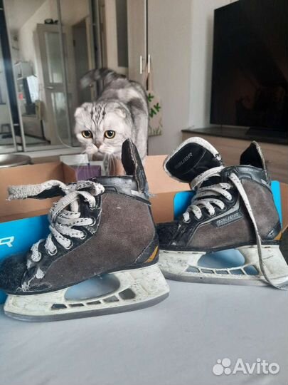 Хоккейные коньки bauer
