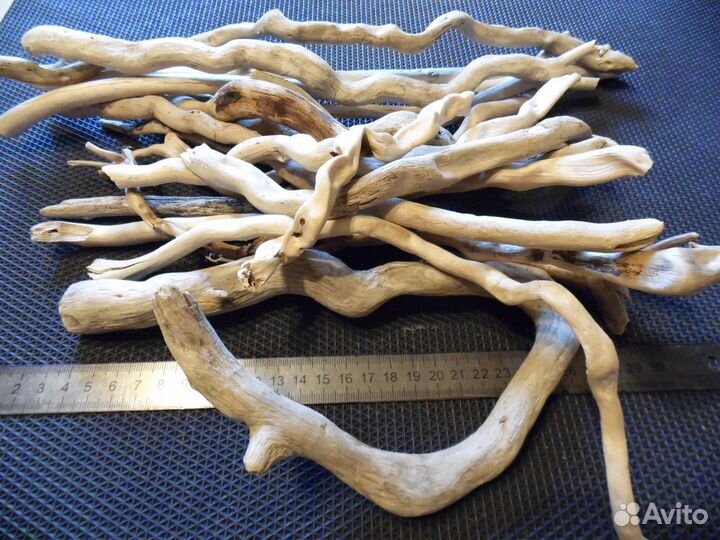 Коряги дрифтвуд