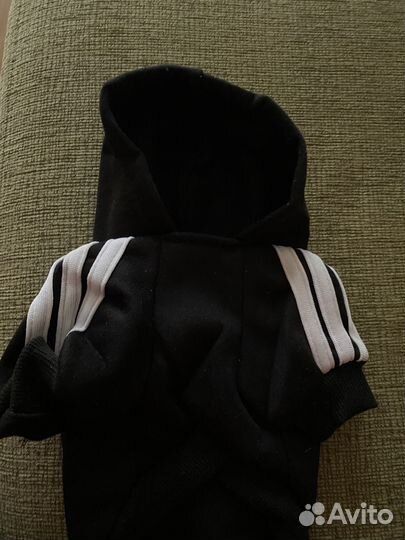 Одежда для собак Адидас