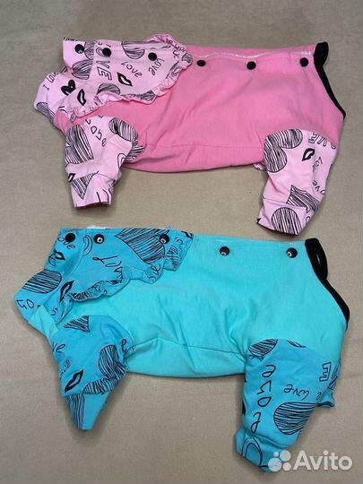 Одежда и аксессуары для животных