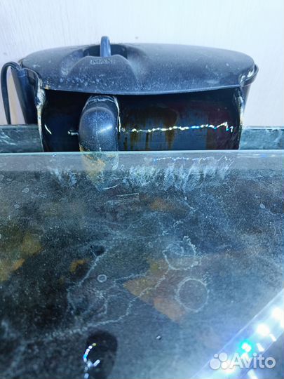 Аквариум с черепахами