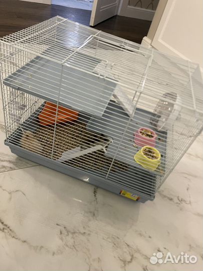 Хомяк и клетка