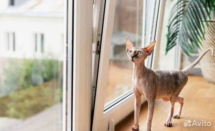 Окна быстро за день