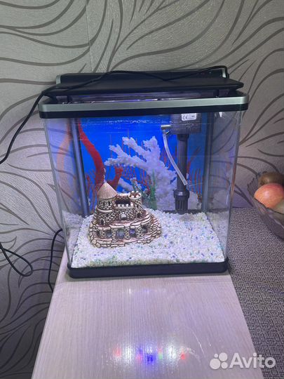 Аквариум с подсветкой