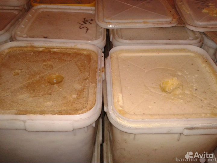 Донниковый,Гречишный и другие сорта мёда