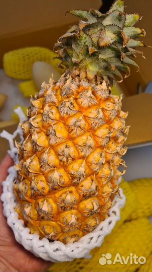 Фрукты из Таиланда оптом