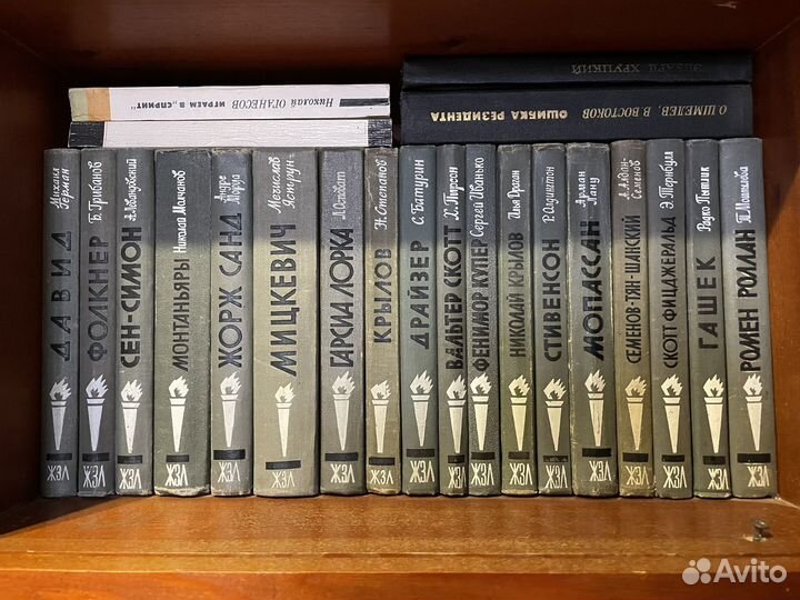 Книги серии жзл