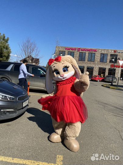 Мишка тедди аниматор