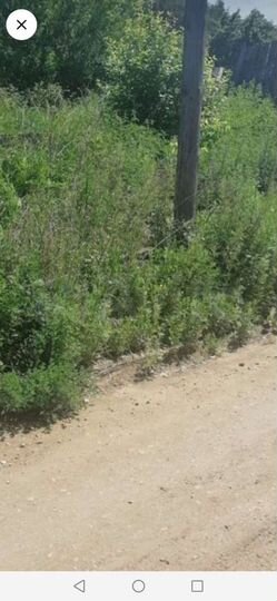 Участок 2,6 га (СНТ, ДНП)