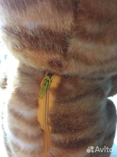 Музыкальные игрушки Кот ученый и собака