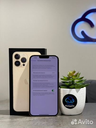 iPhone 13 Pro Max, 256 ГБ