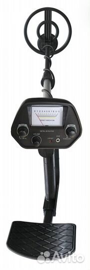 Металлоискатель в аренду