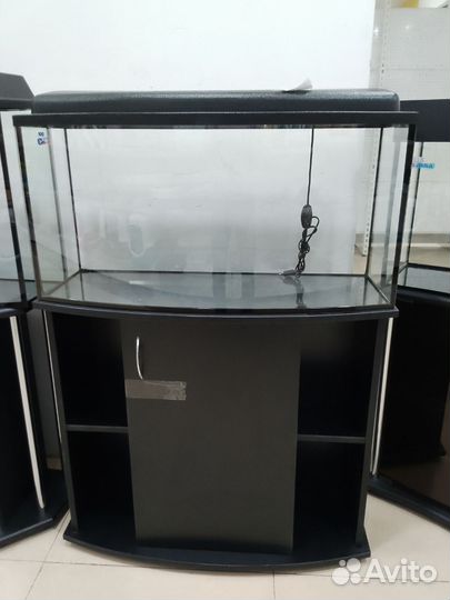 Аквариумы волна, телевизор