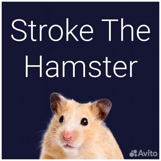 Stroke The Hamster PS4/PS5